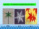 沪科版数学八年级上册 15.1 轴对称图形_ 课件