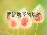 华东师大版数学八年级上册 12.1.4同底数幂的除法_(1)（课件）