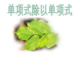 华东师大版数学八年级上册 12.4.1 单项式除以单项式_(1)（课件）