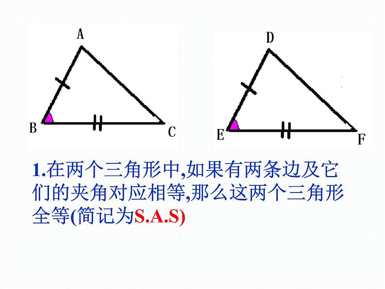 华东师大版数学八年级上册 13.2.6 斜边直角边_(1)（课件）03