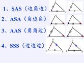 华东师大版数学八年级上册 13.2.6 斜边直角边（课件）