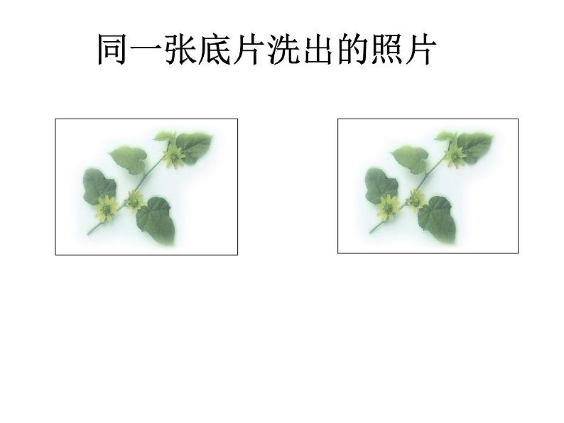 华东师大版数学八年级上册 13.2.2 全等三角形的判定条件 (2)（课件）第3页