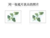 华东师大版数学八年级上册 13.2.2 全等三角形的判定条件 (2)（课件）