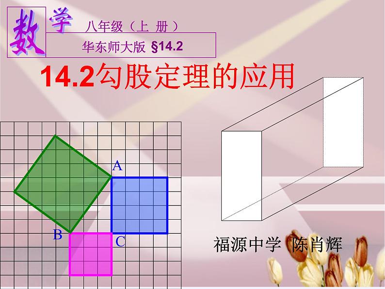 华东师大版数学八年级上册 14.2 勾股定理的应用(1)（课件）04