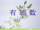 华东师大版数学七年级上册 2.1.1 有理数_(1) 课件