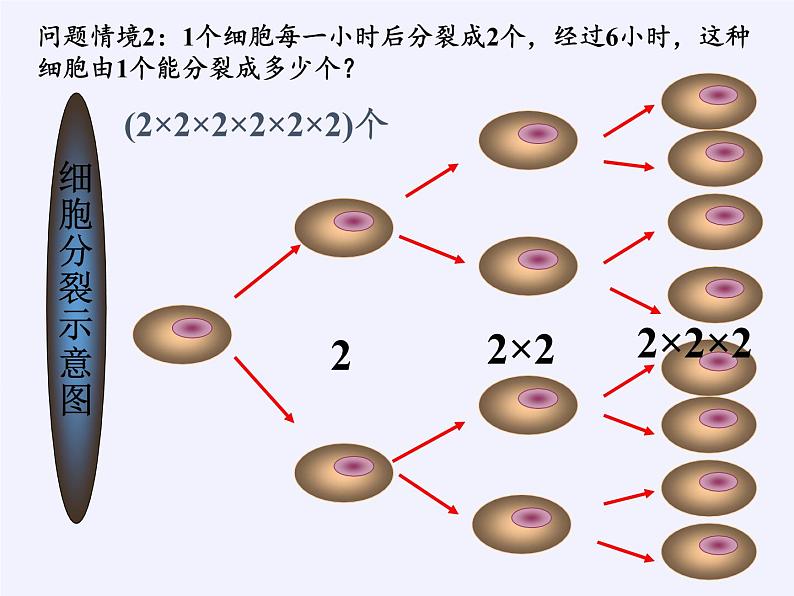 华东师大版数学七年级上册 2.11 有理数的乘方(3) 课件第4页