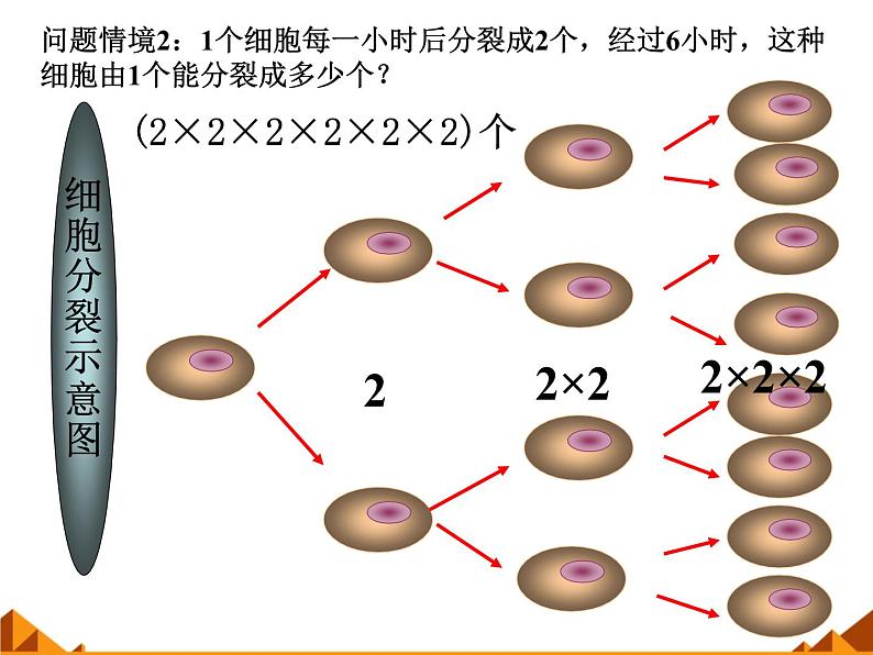 华东师大版数学七年级上册 2.11 有理数的乘方_(1) 课件03