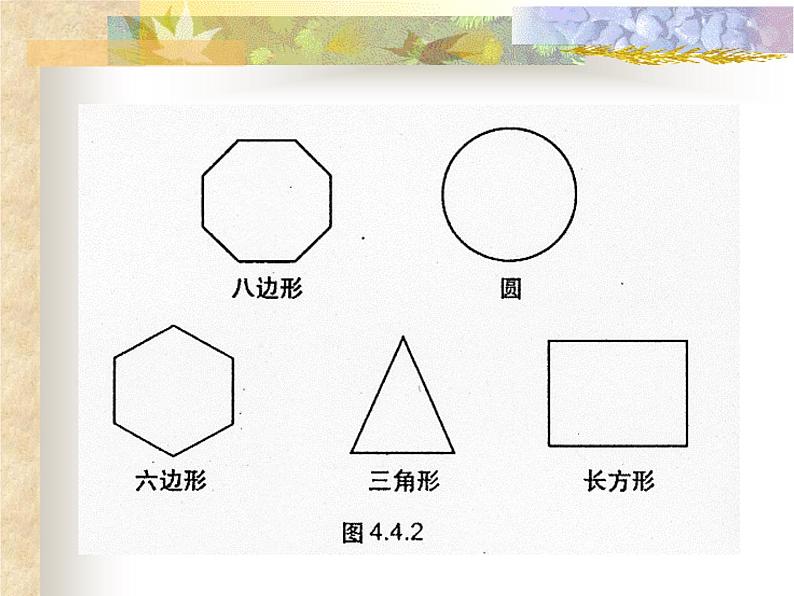 华东师大版数学七年级上册 4.4 平面图形_(1) 课件03