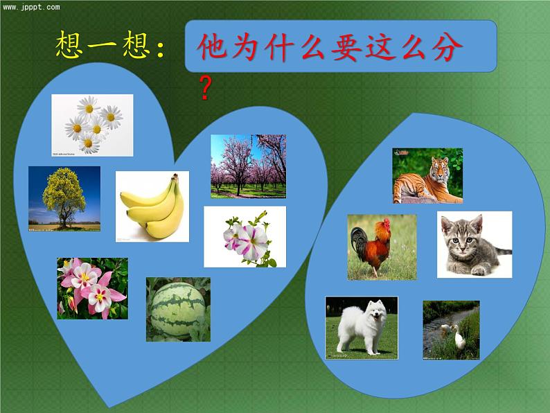 华东师大版数学七年级上册 3.4.1 同类项(1) 课件03