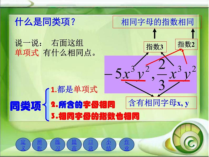 华东师大版数学七年级上册 3.4.1 同类项 课件第4页