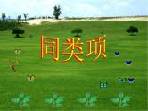 华东师大版数学七年级上册 3.4.1 同类项_(1) 课件