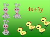华东师大版数学七年级上册 3.4.1 同类项_(1) 课件