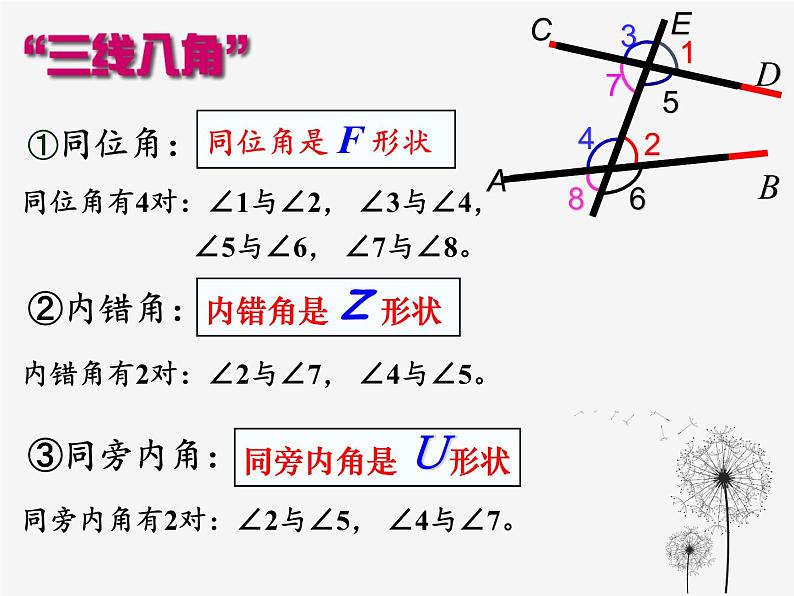 华东师大版数学七年级上册 5.2.3 平行线的性质(1) 课件02