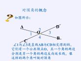 华东师大版数学七年级上册 5.1.1 对顶角 课件