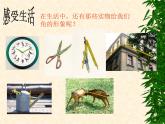 华东师大版数学七年级上册 4.6.1 角_ 课件