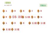 湘教版七年级下册数学 第1章 全章整合与提升 习题课件