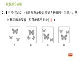 湘教版七年级下册数学 第5章 阶段综合训练【范围：5.1～5.3】 习题课件