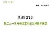 人教版七年级下册数学 第8章 阶段思想专训  解二元一次方程组常用的五种数学思想 习题课件