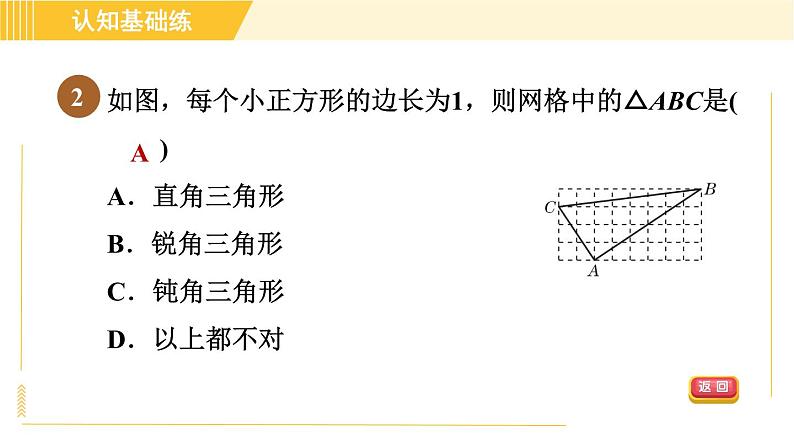 沪科版八年级下册数学 第18章 18.2.1 目标一　勾股定理的逆定理 习题课件第4页