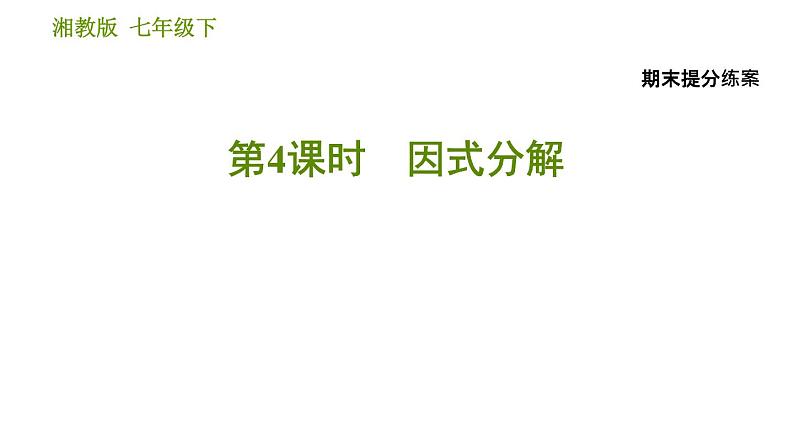 湘教版七年级下册数学 期末提分练案 习题课件01