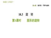 華師版七年級下冊數(shù)學(xué) 第10章 10.3.1  圖形的旋轉(zhuǎn) 習(xí)題課件