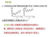 人教版七年级下册数学 期末提分练案 第8讲   第4课时   纠错训练 几种易产生错觉的统计图 习题课件
