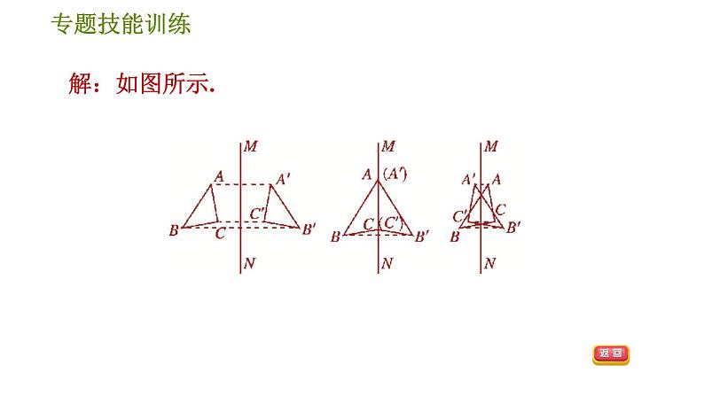 华师版七年级下册数学 第10章 专训（八）  专训图形变换的四种作图 习题课件第4页