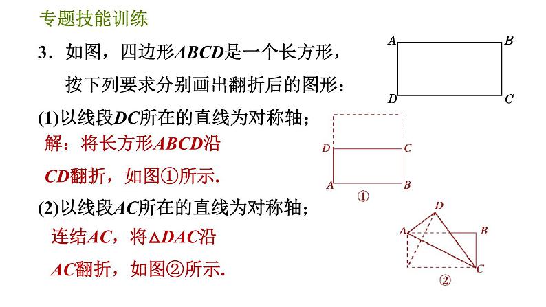 华师版七年级下册数学 第10章 专训（八）  专训图形变换的四种作图 习题课件第7页