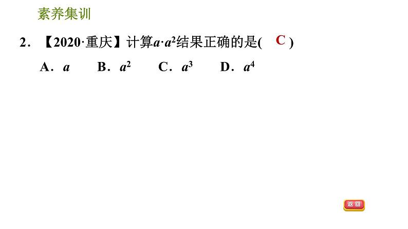 北师版七年级下册数学 第1章 全章热门考点整合专训 习题课件第5页