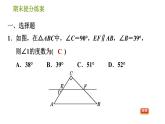 湘教版八年級(jí)下冊(cè)數(shù)學(xué) 期末提分練案 第1課時(shí) 直角三角形的性質(zhì)、判定，直角三角形全等的判定及角平分線的性質(zhì)  習(xí)題課件