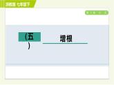 浙教版七年級下冊數(shù)學(xué) 第5章 開放與探究(五) 增根 習(xí)題課件
