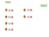 华师版七年级下册数学 第8章 阶段综合训练【范围：8.1～8.2】 习题课件