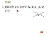 人教版七年级下册数学 第5章 素养集训  2.计算角度的三种方法 习题课件