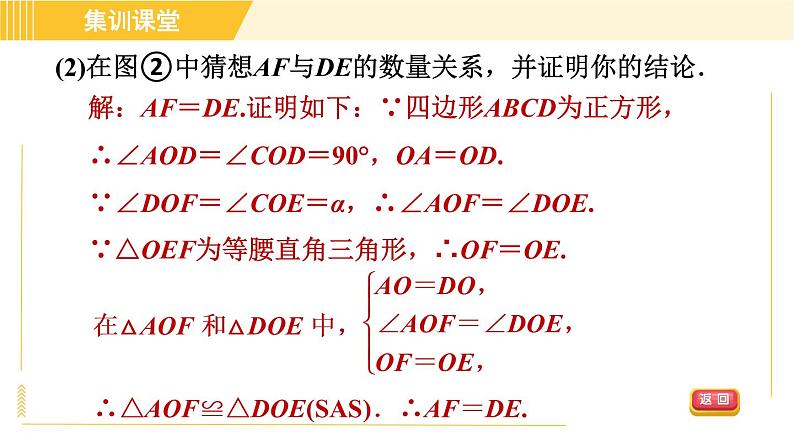 北师版八年级下册数学 第3章 集训课堂 练素养 旋转的性质在解几何问题中的应用 习题课件第4页