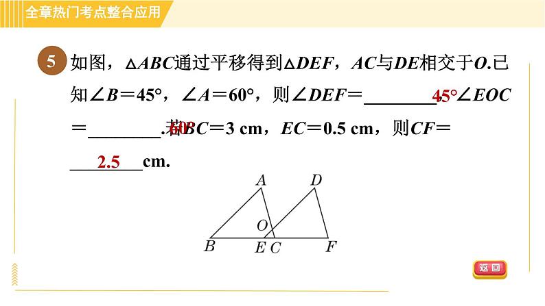 北师版八年级下册数学 第3章 全章热门考点整合应用 习题课件第8页