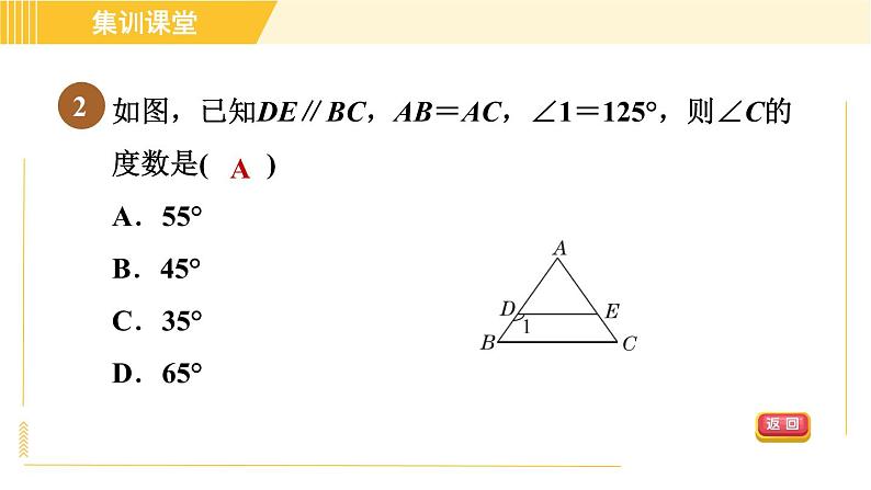 北师版八年级下册数学 第1章 集训课堂 测素质 等腰三角形的性质和判定 习题课件第5页