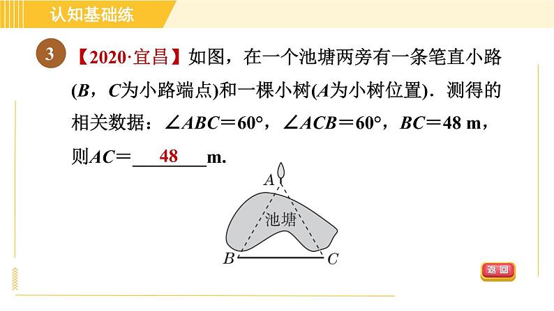 北师版八年级下册数学 第1章 1.1.4目标一 等边三角形的判定 习题课件第5页