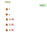 北师版八年级数学上册 第3章 3.4  简单的图案设计 习题课件