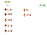 北师版八年级数学上册 第3章 素养集训  图形变换的四种作图 习题课件
