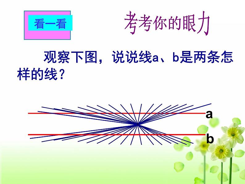 第五章 观察与猜想 看图时的错觉 课件-2021-2022学年人教版七年级数学下册（共15张PPT）04