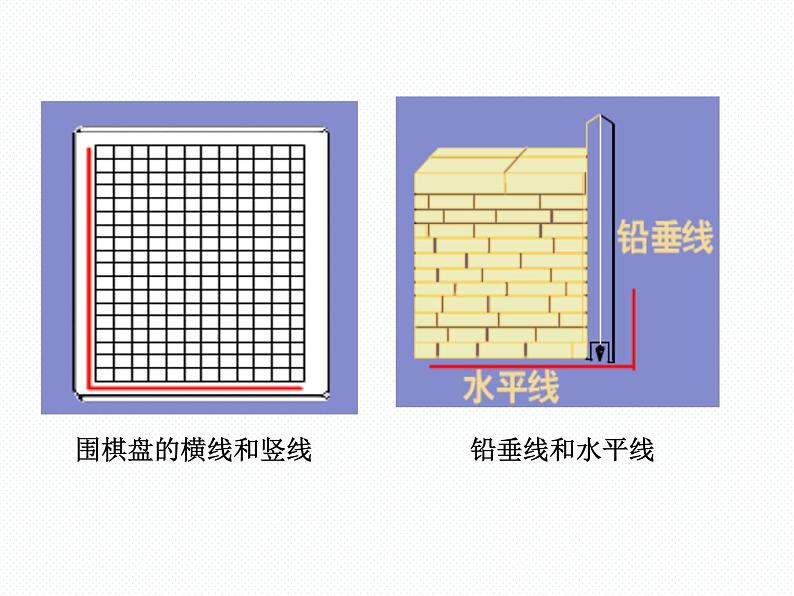 新人教版七年级下册第五章5.1.2垂线ppt第8页