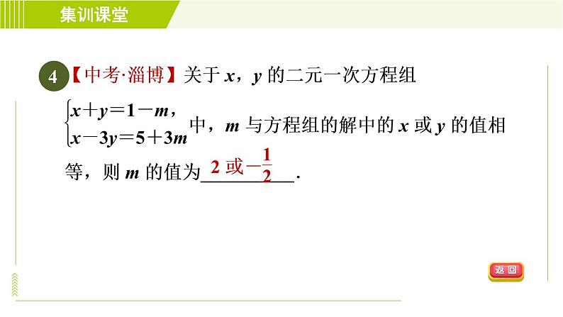 人教版七年级下册数学 第8章 集训课堂 练素养 1.二元一次方程(组)的解的六种常见应用 习题课件08