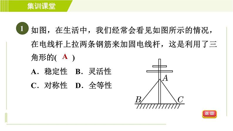 北师版七年级下册数学 第4章 集训课堂  测素质 全等三角形的性质和判定 习题课件04