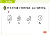 北师版七年级下册数学 第5章 集训课堂  测素质 轴对称 习题课件