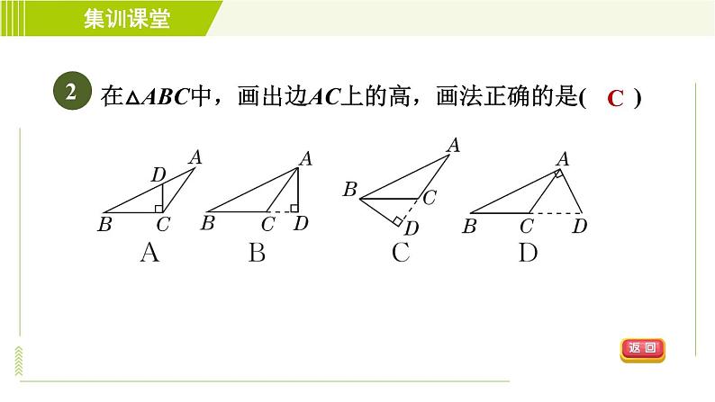 北师版七年级下册数学 第4章 集训课堂  测素质 与三角形有关的线段和角 习题课件第5页