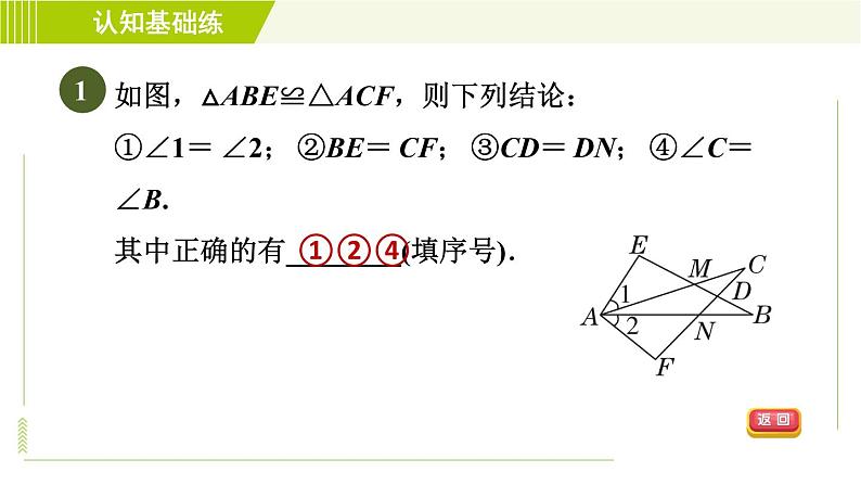 北师版七年级下册数学 第4章 4.2 目标二 全等三角形的性质 习题课件第3页