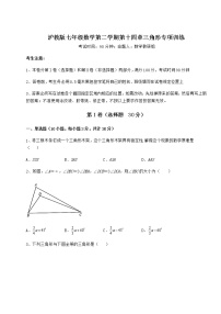 数学七年级下册第十四章  三角形综合与测试练习