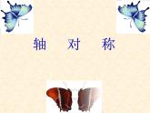 沪科版数学八年级上册 15.1 轴对称 课件