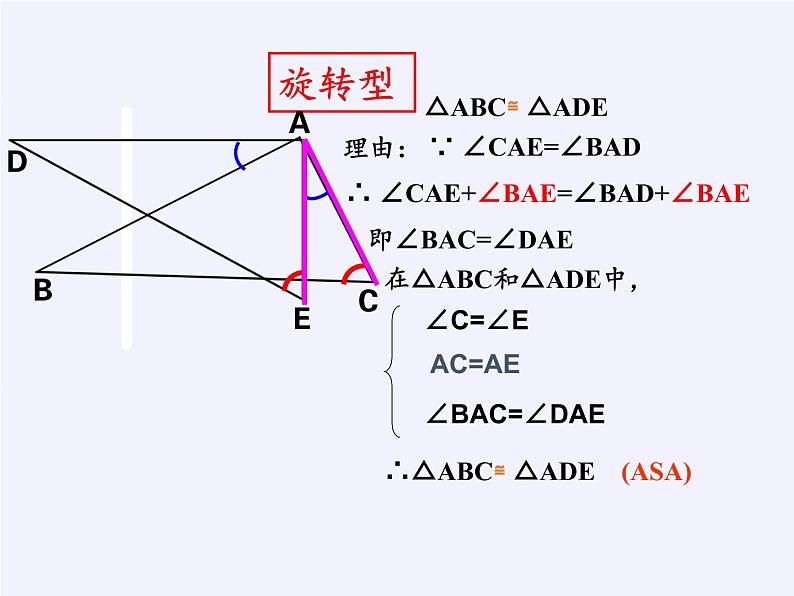 华东师大版数学八年级上册 复习题(1)（课件）第8页