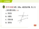 沪科版七年级下册数学 第10章 10.2.1目标三 同位角、内错角、同旁内角 习题课件